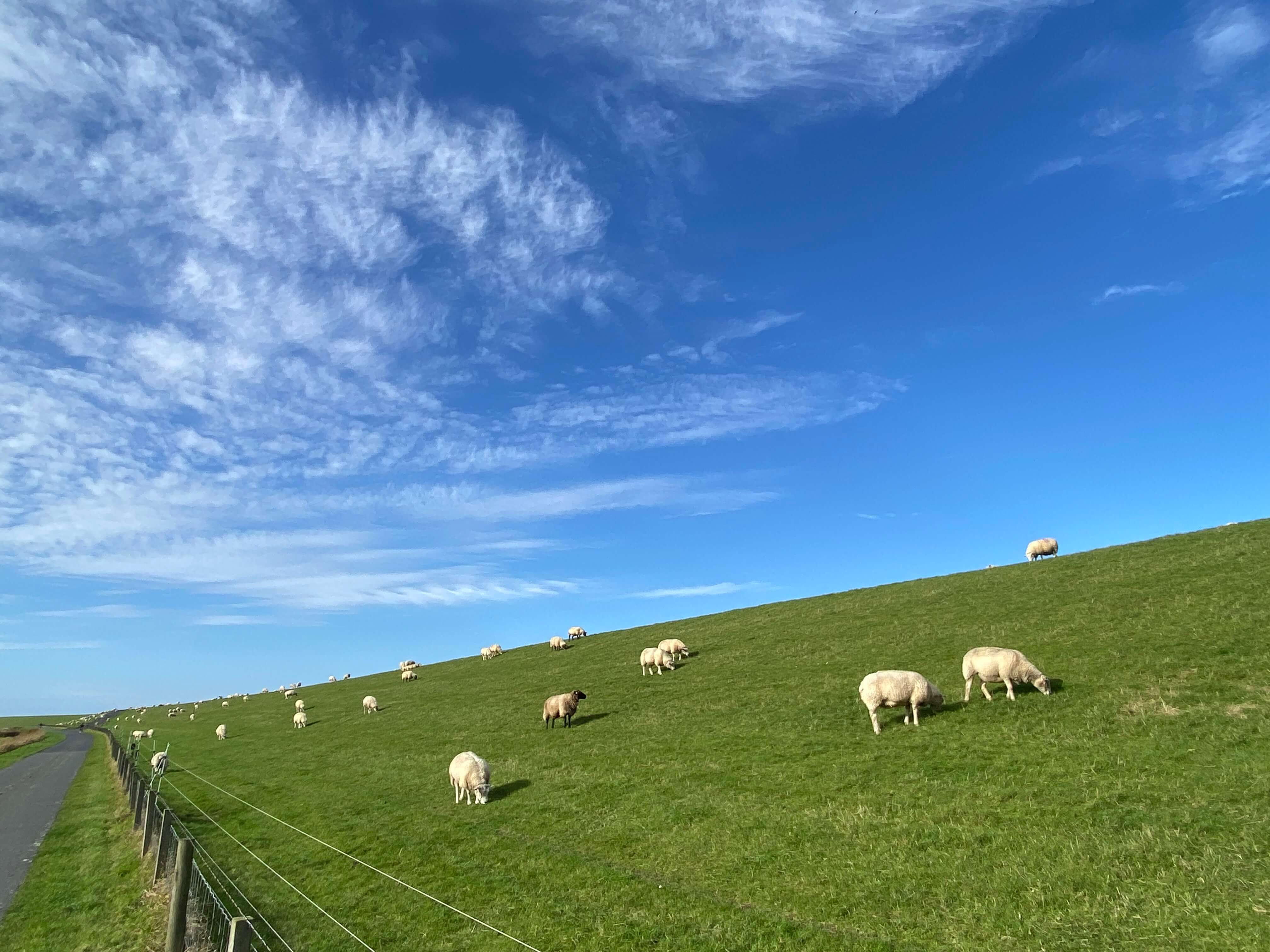 Lage und Umgebung 18