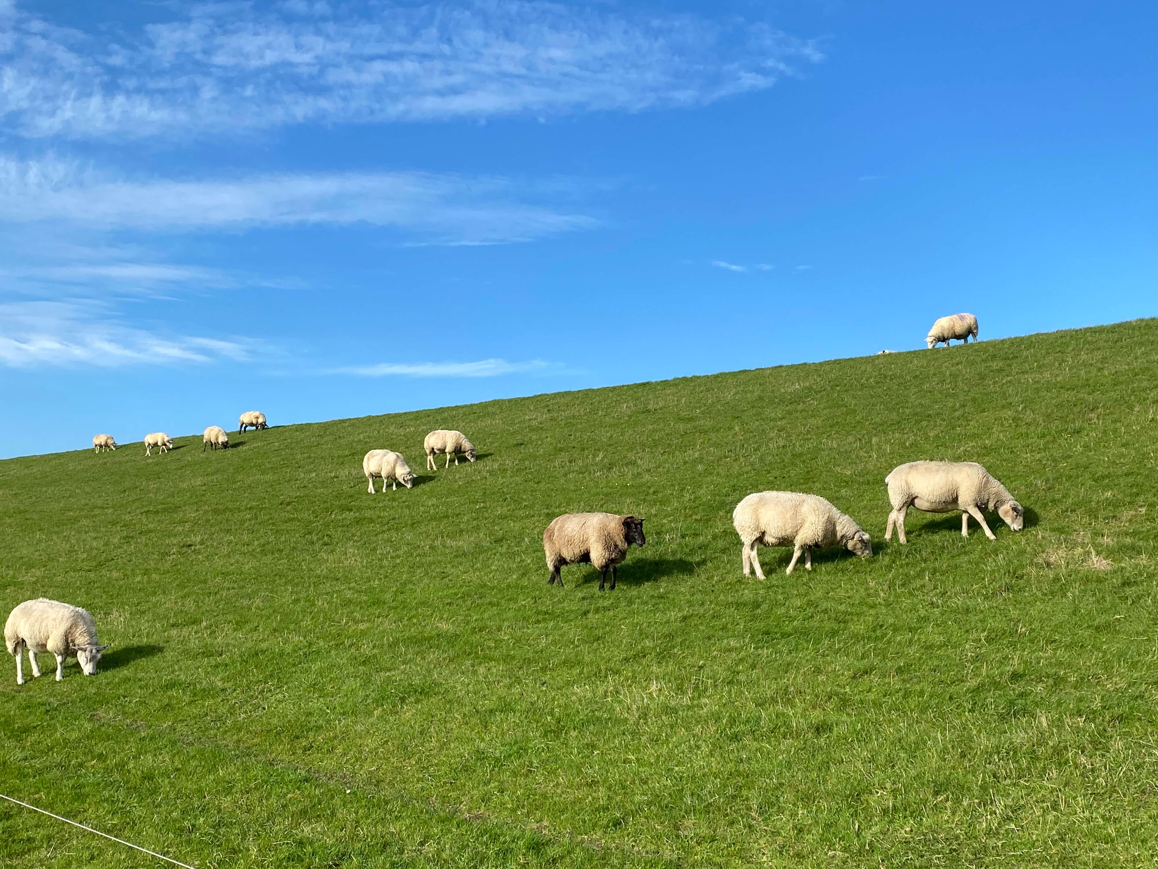 Lage und Umgebung 19